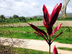 20140628_Honduras_CNV_O_CNV_I_Landschap_2_LR.JPG