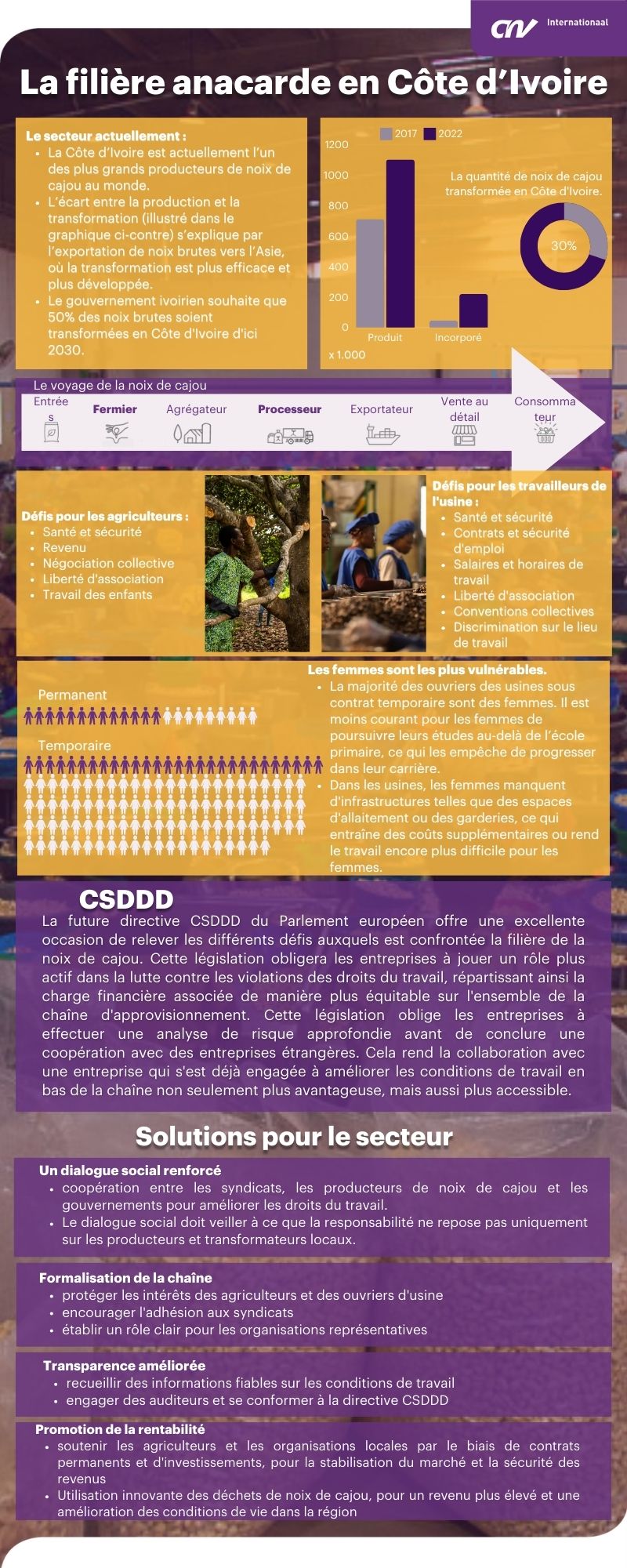 Secteur cajou anacarde en Cote Ivoire infographique