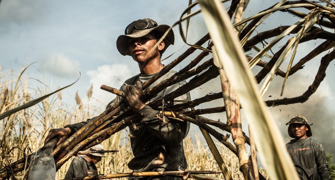 The bitter consequences of poor working conditions in Central American sugarcane industry