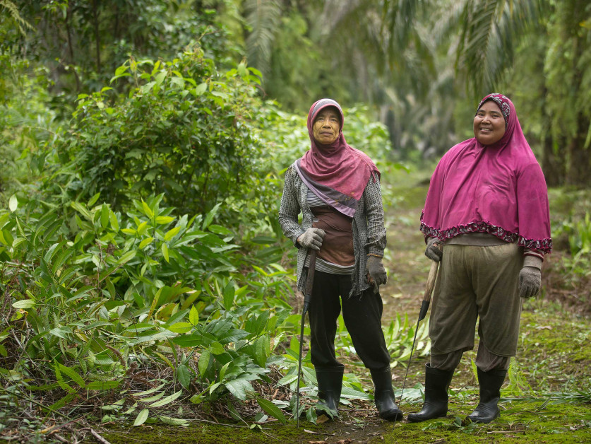 Penting untuk fokus melindungi perempuan di industri kelapa sawit